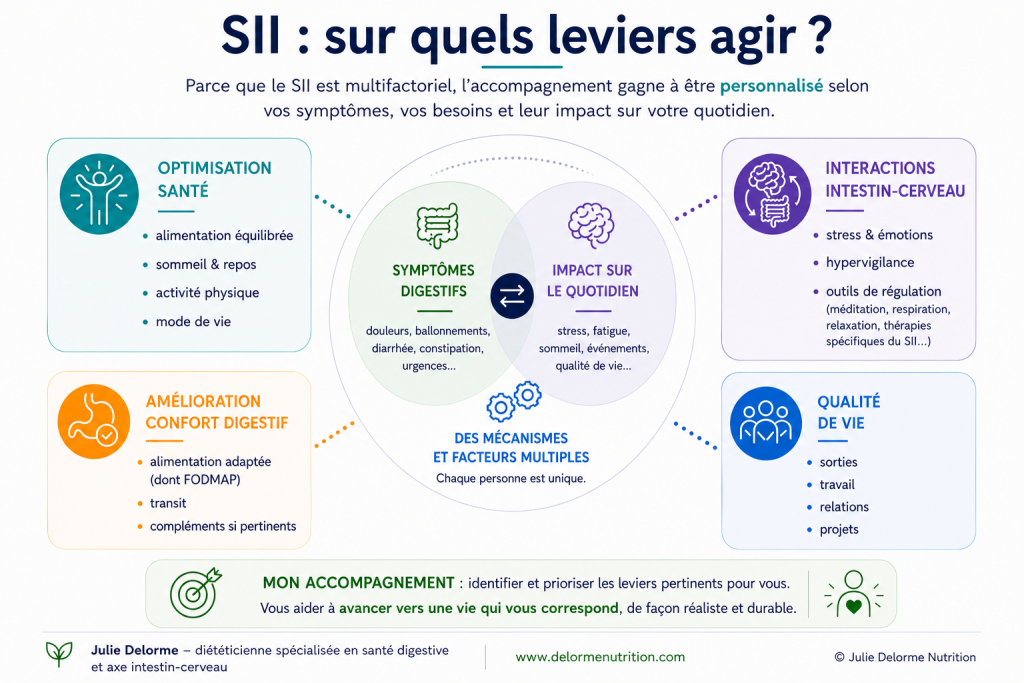 Syndrome de l’intestin irritable (SII) : principaux leviers de prise en charge, alimentation, santé digestive, interactions intestin-cerveau et qualité de vie.